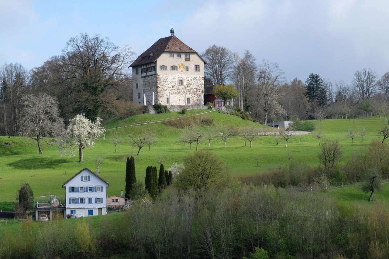 Schloss Oberberg in Gossau