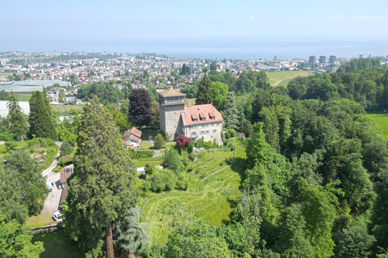Schlossanlage Sulzberg in Untereggen