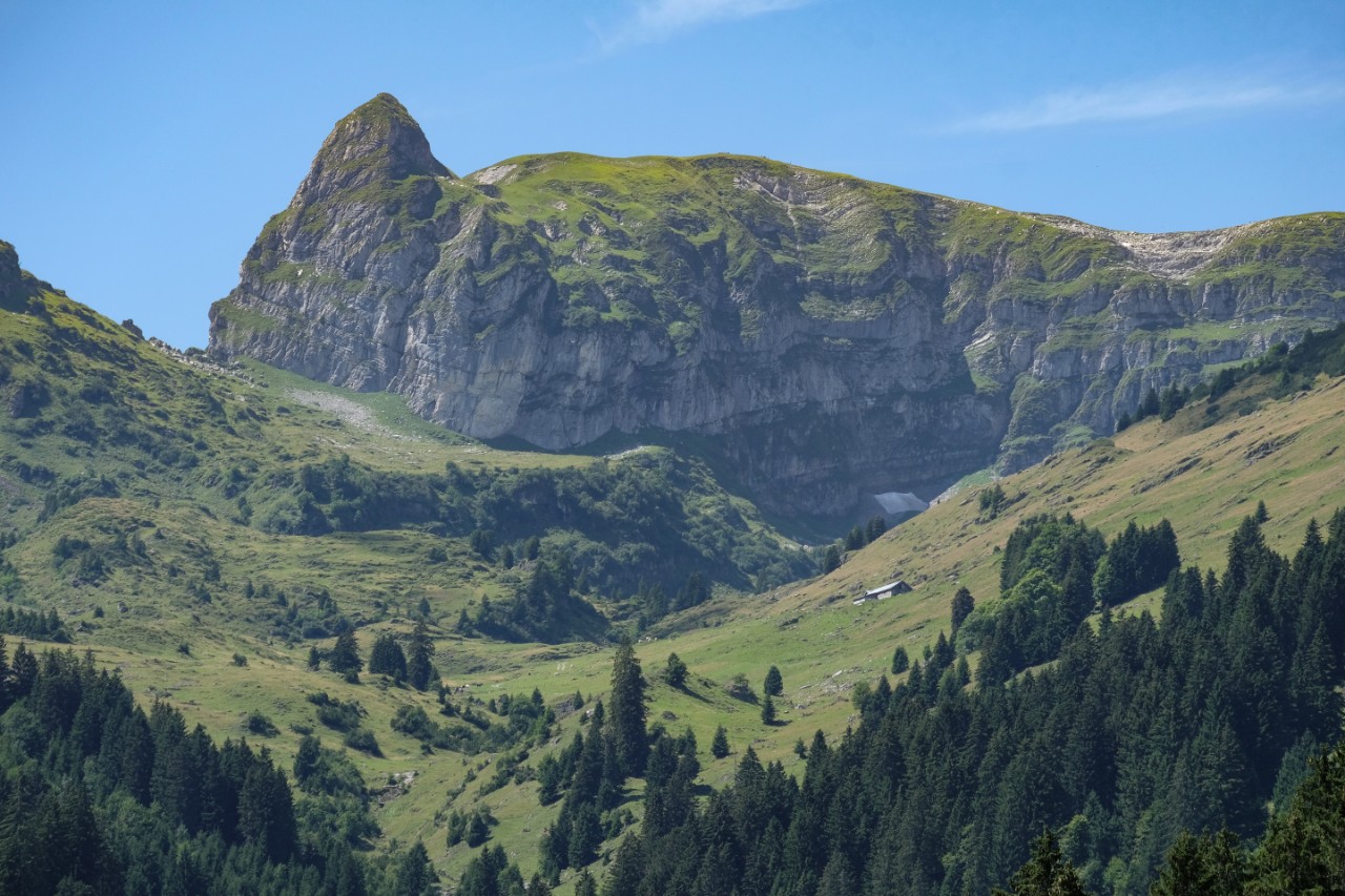 Tristencholben in den Churfisten