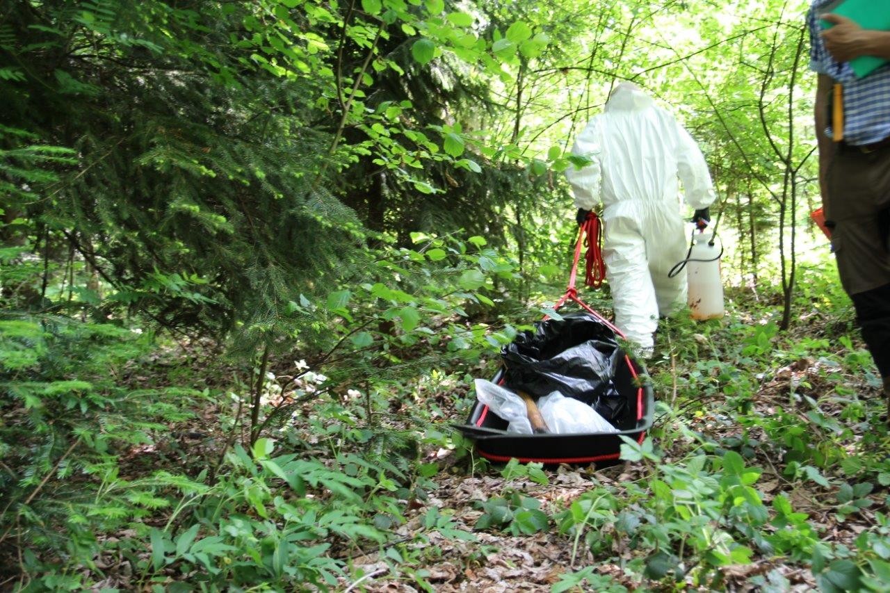 Tierseuchen-Übung erfolgreich durchgeführt