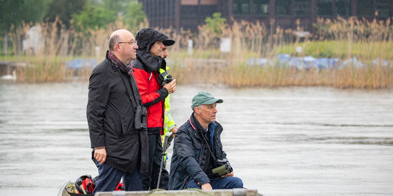 Regierungsrat Beat Tinner und Christian Leutenegger, Stadtrat von Rapperswil-Jona, besichtigten eine neu errichtete Brutplattform im Zürichsee.