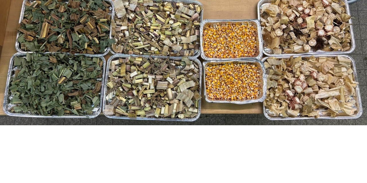 Am Landwirtschaftlichen Zentrum SG in Salez werden Produktionsmöglichkeiten für PFAS-belastete Betriebe erforscht.